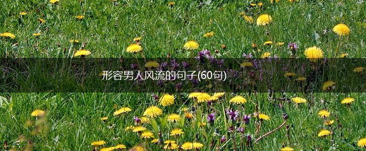 形容男人风流的句子(60句),第1张