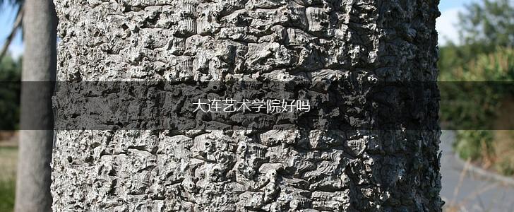 大连艺术学院好吗,第1张