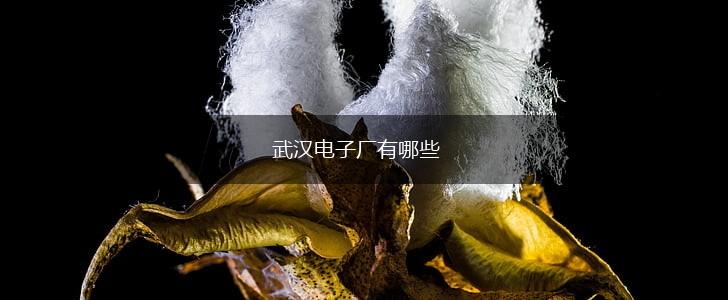 武汉电子厂有哪些,第1张