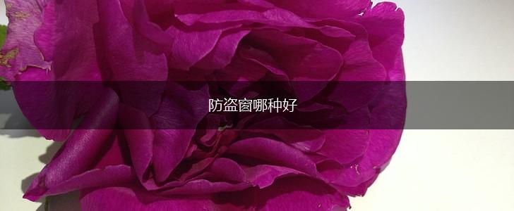 防盗窗哪种好,第1张