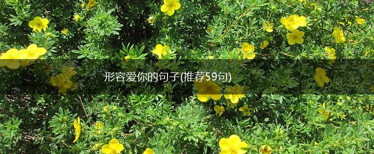 形容爱你的句子(推荐59句),第1张