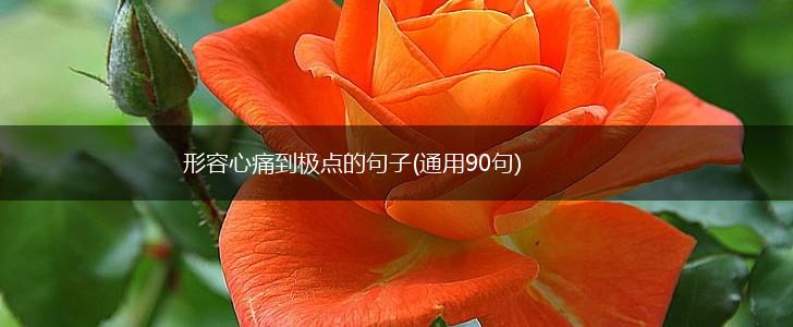 形容心痛到极点的句子(通用90句),第1张