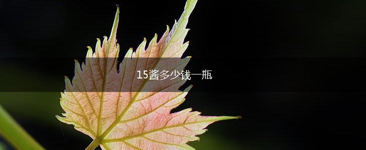 15酱多少钱一瓶,第1张