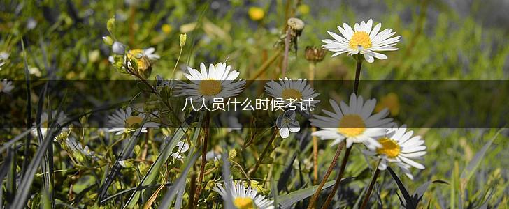 八大员什么时候考试,第1张