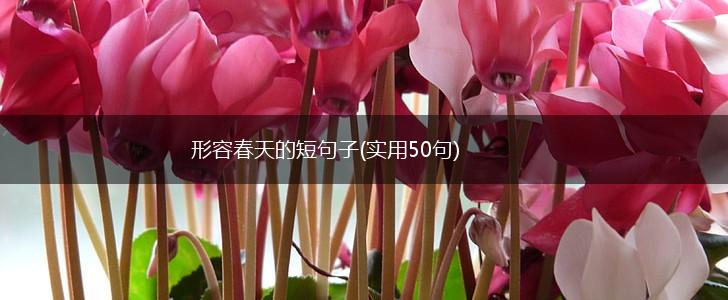 形容春天的短句子(实用50句),第1张