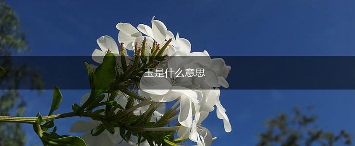 玉是什么意思,第1张