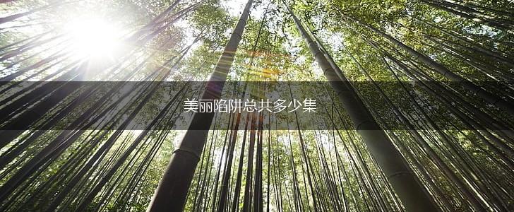 美丽陷阱总共多少集,第1张