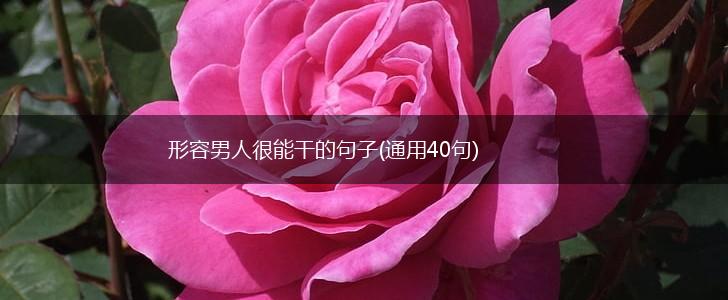 形容男人很能干的句子(通用40句),第1张