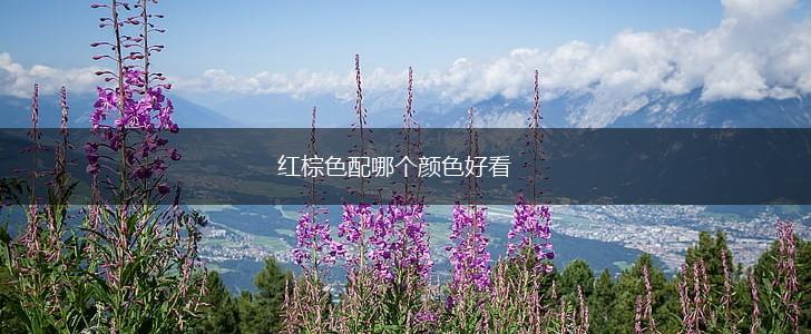 红棕色配哪个颜色好看,第1张