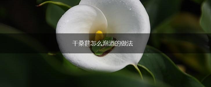 干桑葚怎么泡酒的做法,第1张