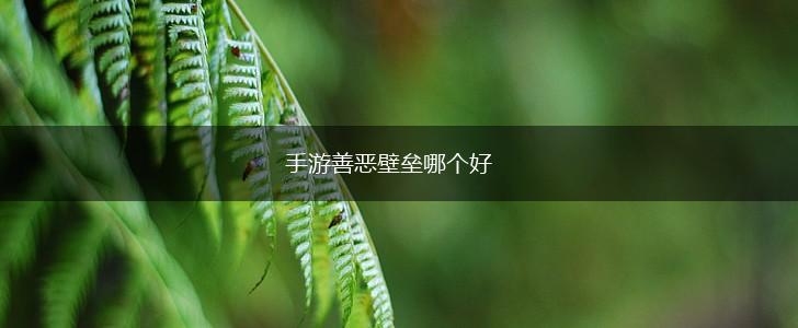 手游善恶壁垒哪个好,第1张