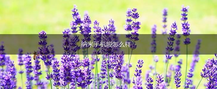 纳米手机膜怎么样,第1张