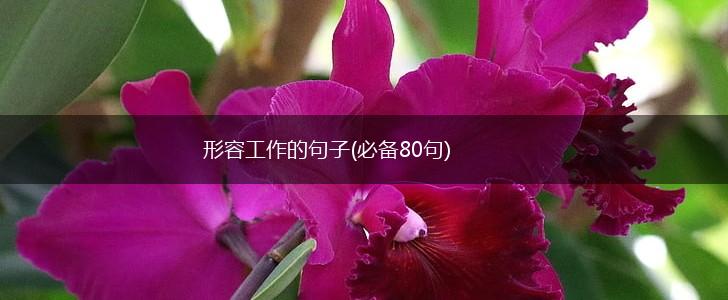 形容工作的句子(必备80句),第1张