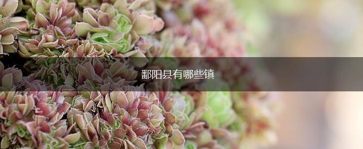 鄱阳县有哪些镇,第1张