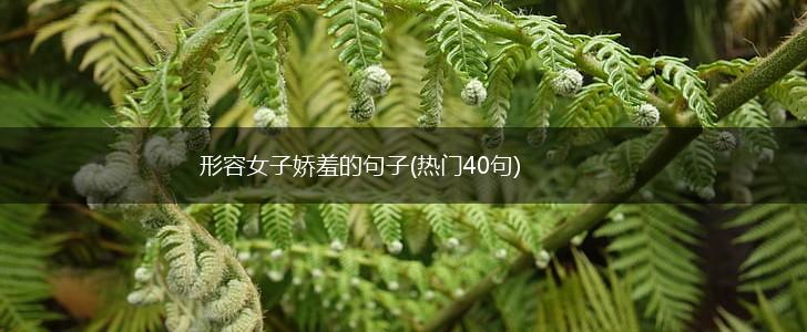 形容女子娇羞的句子(热门40句),第1张