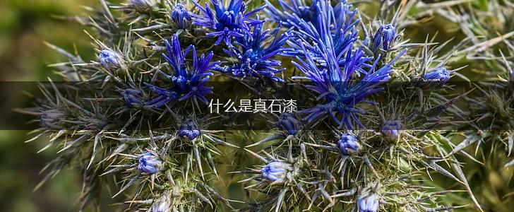 什么是真石漆,第1张