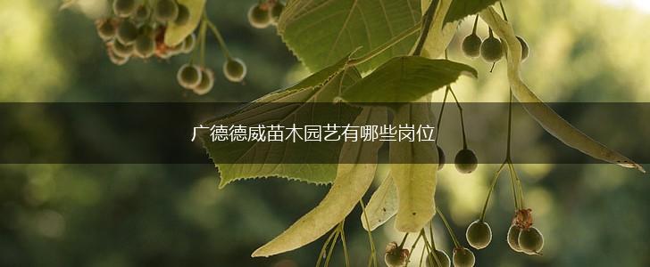 广德德威苗木园艺有哪些岗位,第1张