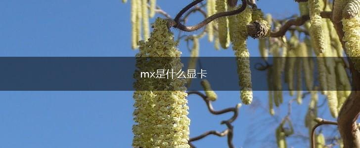 mx是什么显卡,第1张
