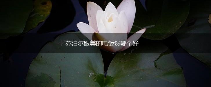 苏泊尔跟美的电饭煲哪个好,第1张