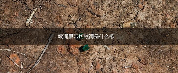 歌词里带伤歌词是什么歌,第1张