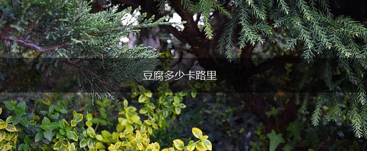豆腐多少卡路里,第1张