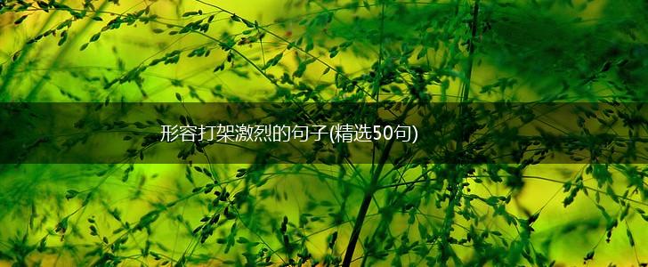 形容打架激烈的句子(精选50句),第1张