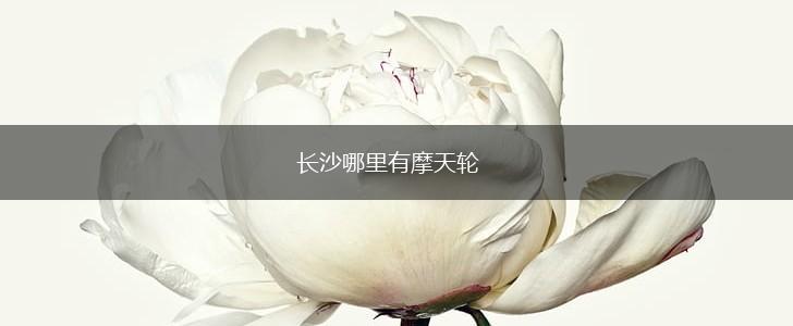 长沙哪里有摩天轮,第1张