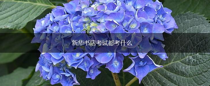 新华书店考试都考什么,第1张