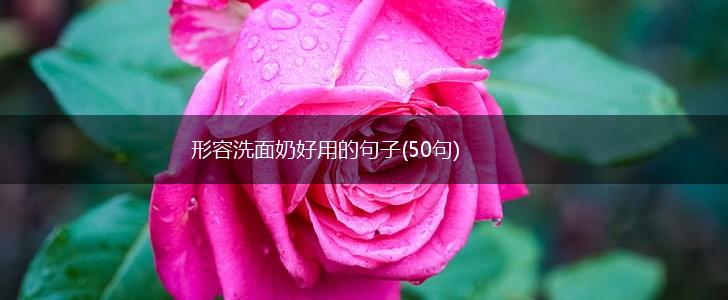 形容洗面奶好用的句子(50句),第1张
