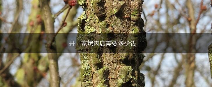 开一家烤肉店需要多少钱,第1张