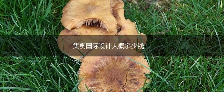 集奥国际设计大概多少钱,第1张