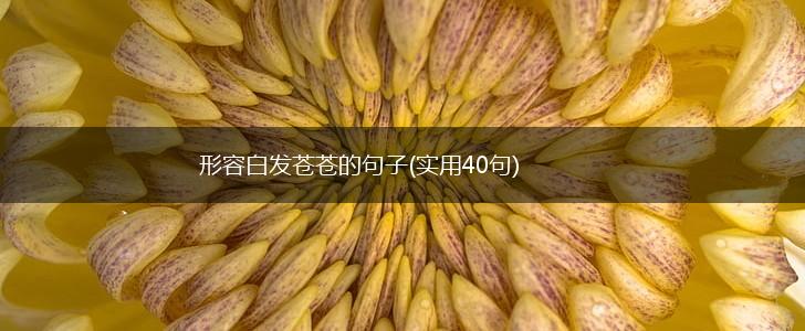 形容白发苍苍的句子(实用40句),第1张