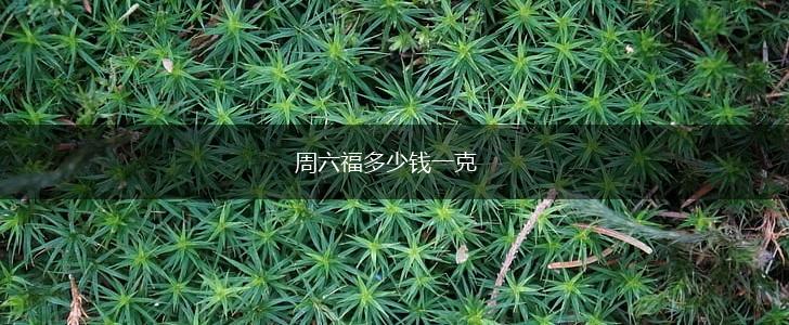 周六福多少钱一克,第1张
