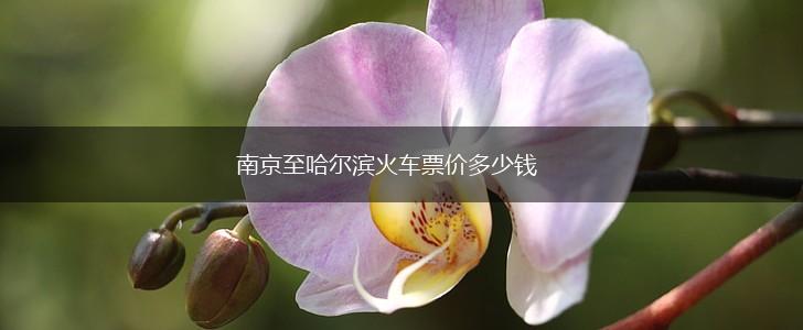 南京至哈尔滨火车票价多少钱,第1张