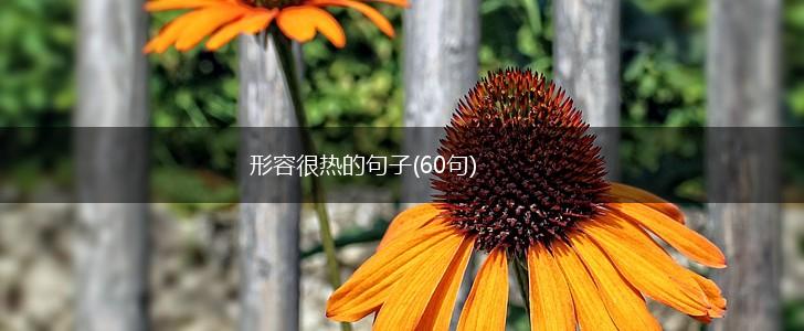 形容很热的句子(60句),第1张