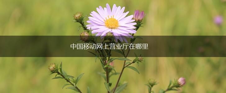 中国移动网上营业厅在哪里,第1张