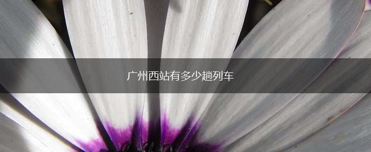 广州西站有多少趟列车,第1张