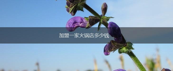 加盟一家火锅店多少钱,第1张
