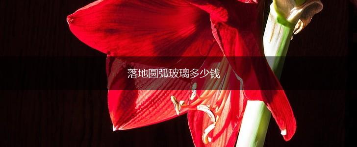 落地圆弧玻璃多少钱,第1张