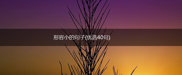 形容小的句子(优选40句),第1张