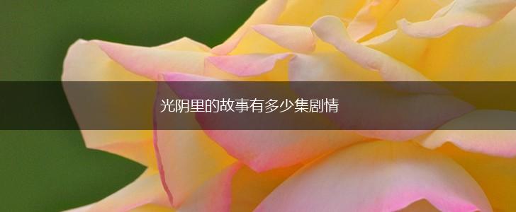 光阴里的故事有多少集剧情,第1张