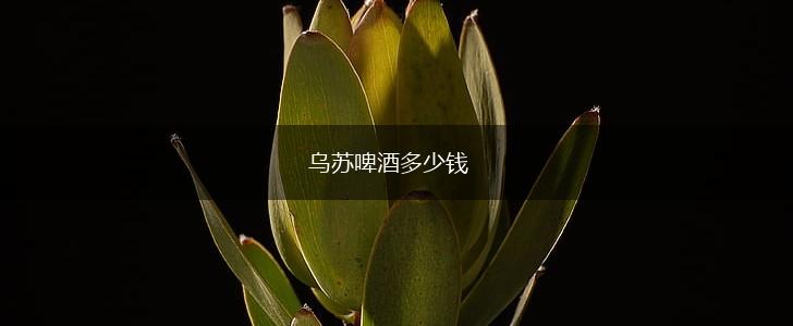 乌苏啤酒多少钱,第1张