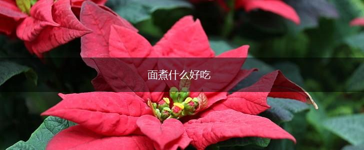 面煮什么好吃,第1张