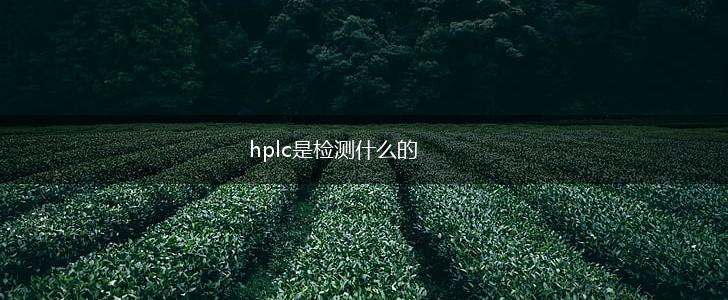 hplc是检测什么的,第1张