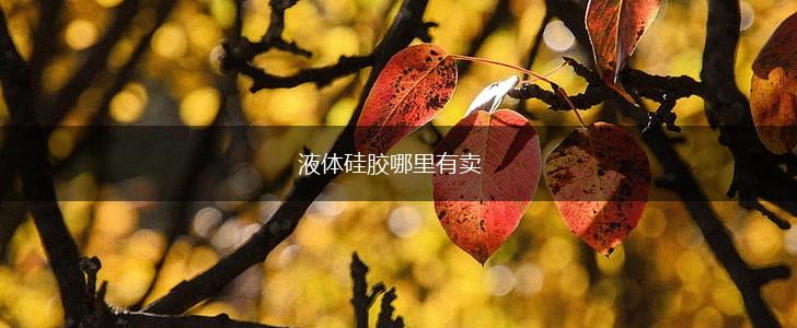 液体硅胶哪里有卖,第1张