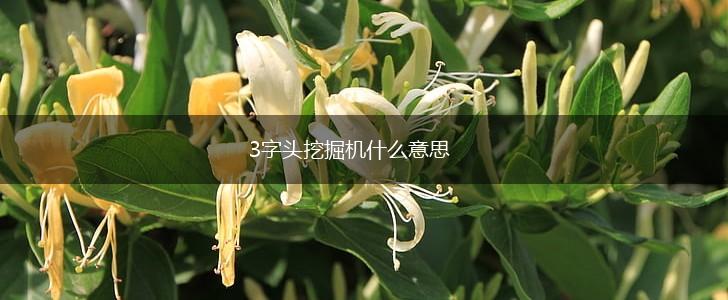 3字头挖掘机什么意思,第1张