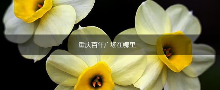 重庆百年广场在哪里,第1张