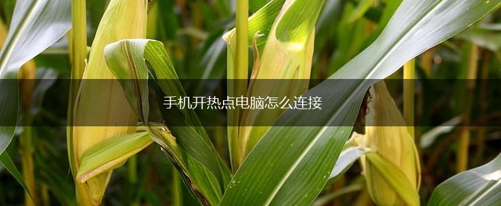 手机开热点电脑怎么连接,第1张