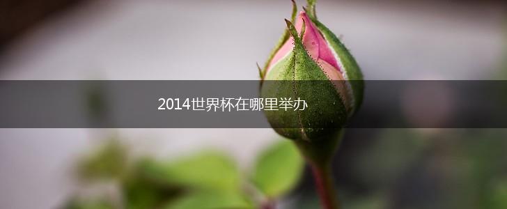 2014世界杯在哪里举办,第1张