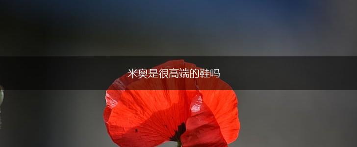 米奥是很高端的鞋吗,第1张